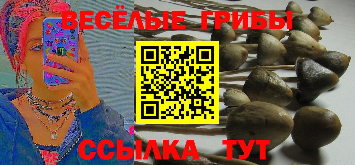 Галлюциногенные грибы прущие грибы  Псилоцибиновые грибы мухоморы  Вход с VPN  Медногорск 